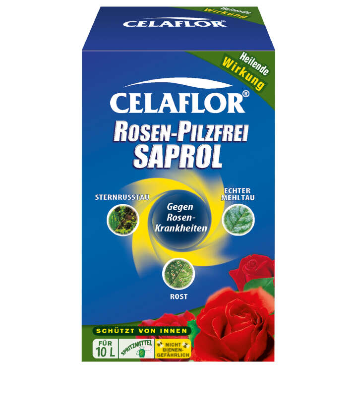 SUBSTRAL Celaflor Rosen-Pilzfrei Saprol